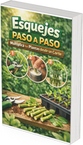 Esquejes Paso a Paso