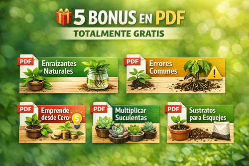 Esquejes Paso a Paso